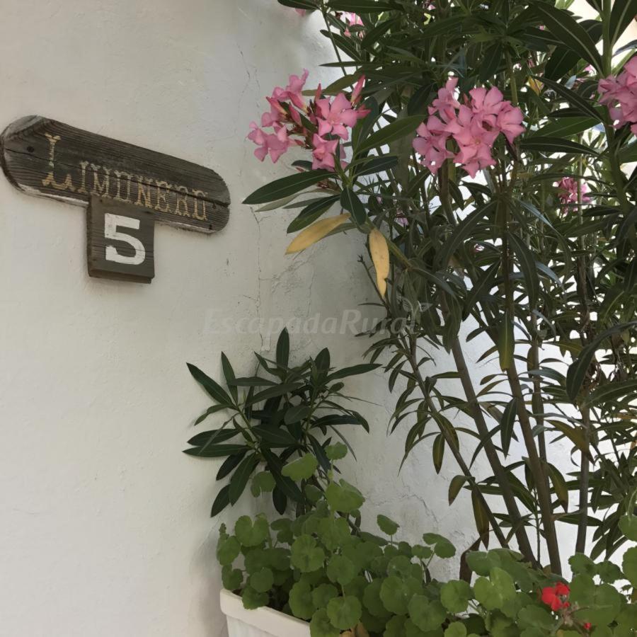 Finca La Vicacaria Limonero Zufre Екстериор снимка